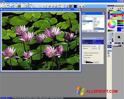 Screenshot Pixia per Windows XP