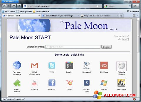 Screenshot Pale Moon per Windows XP