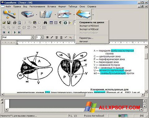 Screenshot CuneiForm per Windows XP