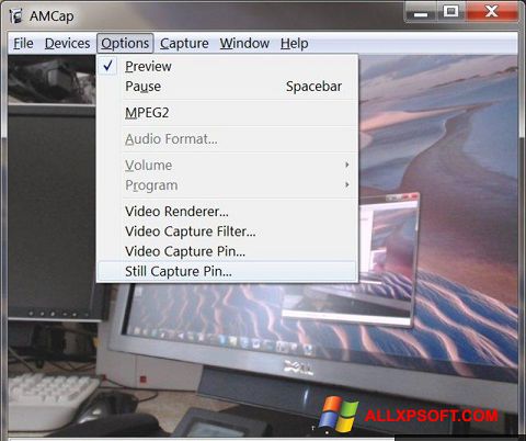 Screenshot AMCap per Windows XP
