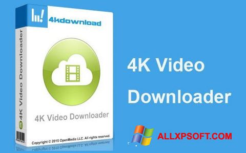 Screenshot 4K Video Downloader per Windows XP
