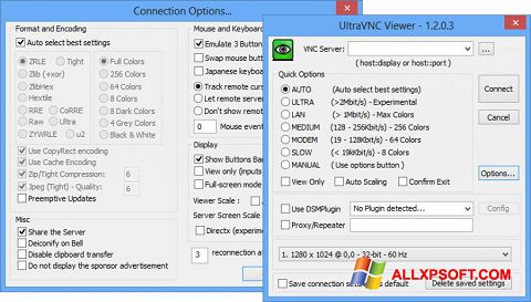 Screenshot UltraVNC per Windows XP