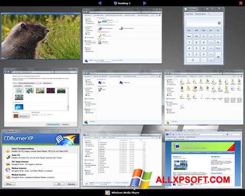 Screenshot Dexpot per Windows XP