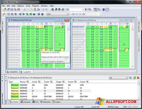 Screenshot Hex Workshop per Windows XP