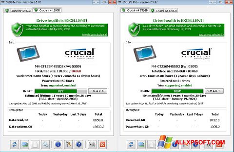 Screenshot SSDLife per Windows XP