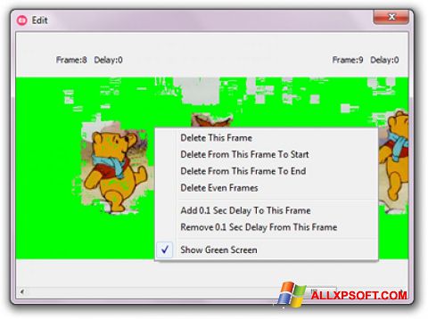 Screenshot GifCam per Windows XP