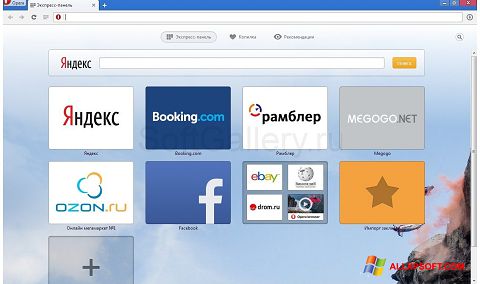 Screenshot Opera Next per Windows XP