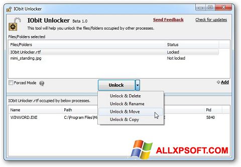 Screenshot IObit Unlocker per Windows XP
