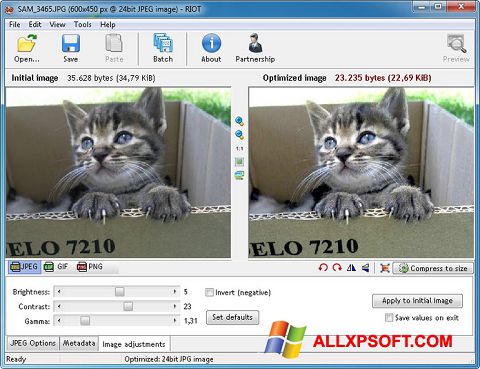 Screenshot RIOT per Windows XP