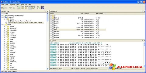 Screenshot DMDE per Windows XP