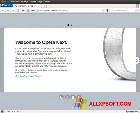 Screenshot Opera Developer per Windows XP
